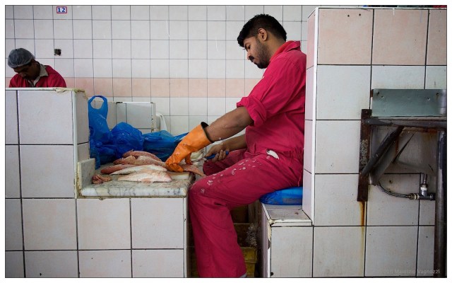 fish-market-24sep2016-4