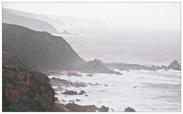 south africa 3 2008 21