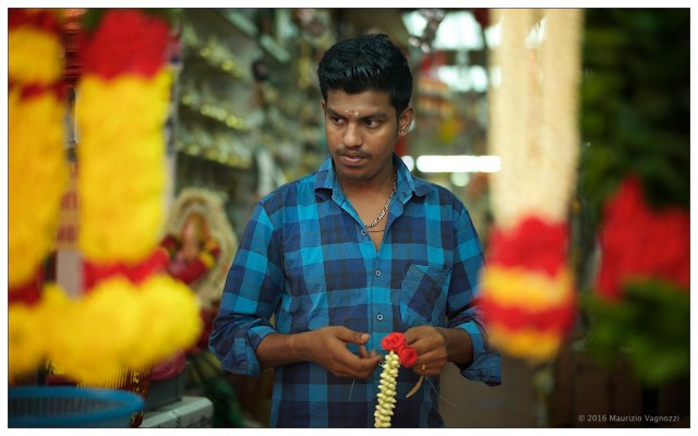 tikka-market-november-2016-6