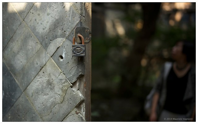 shanghai lost garden 40