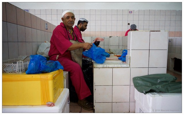 fish-market-24sep2016-5