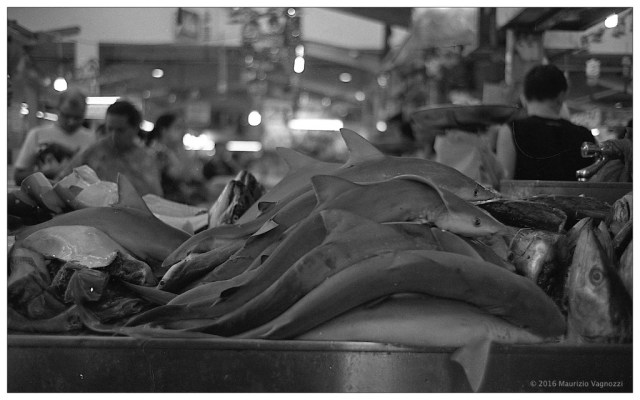 Little India SG fish and meat 8