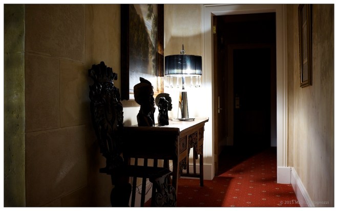 fair lawns south africa 1