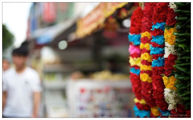 tikka-market-november-2016-5