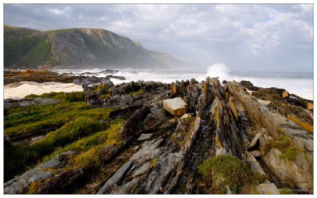 south africa 3 2008 6