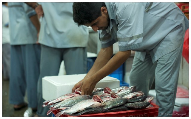 deira-fish-market-5