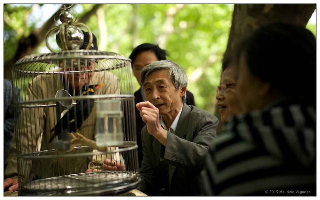 Luxun Park Shanghai 19