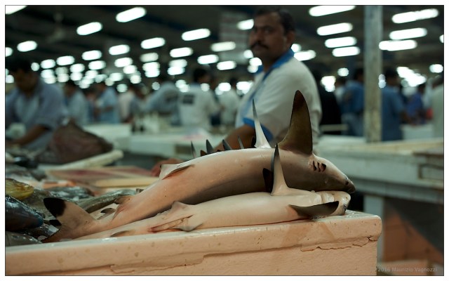 deira-fish-market-1