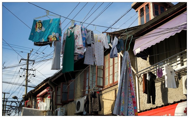 shanghai food market 12