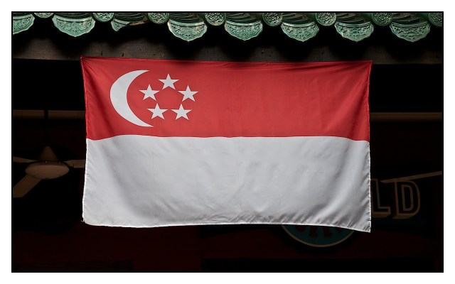Singapore Flag