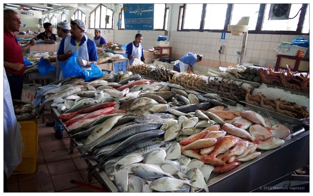 fish-market-24sep2016-11