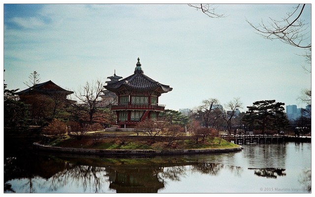 seoul on rollei35 1