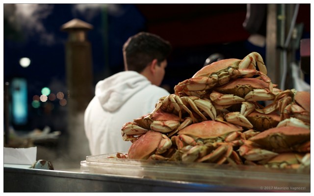 fisherman-wharf-10