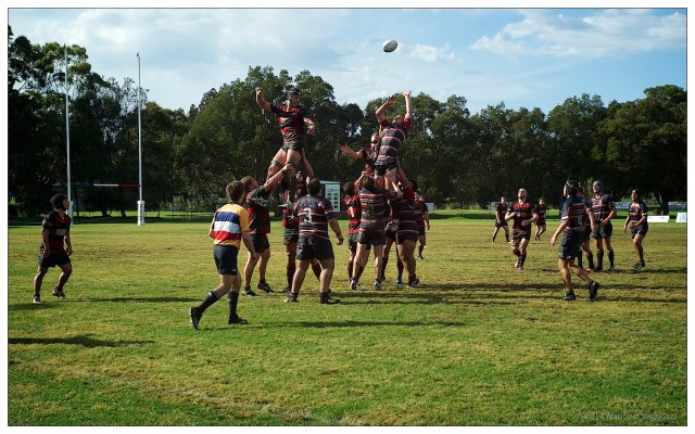 rugby 3