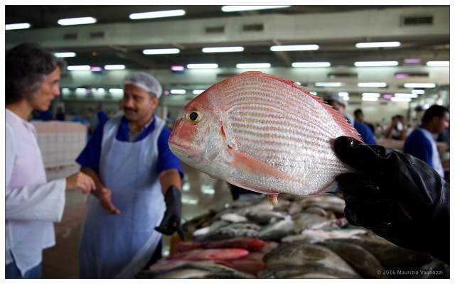fish-market-24sep2016-1