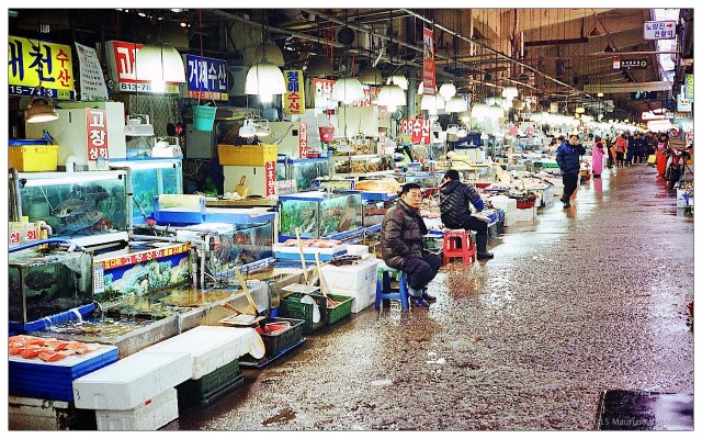 seoul on rollei35 4