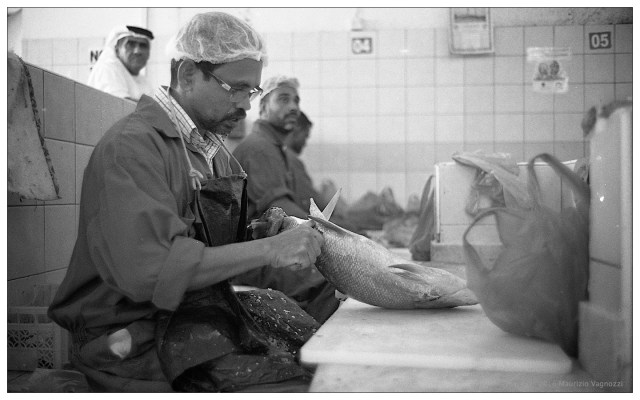 fish market 15Apr2016 1